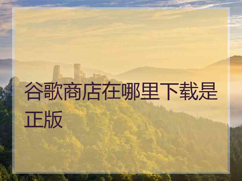 谷歌商店在哪里下载是正版