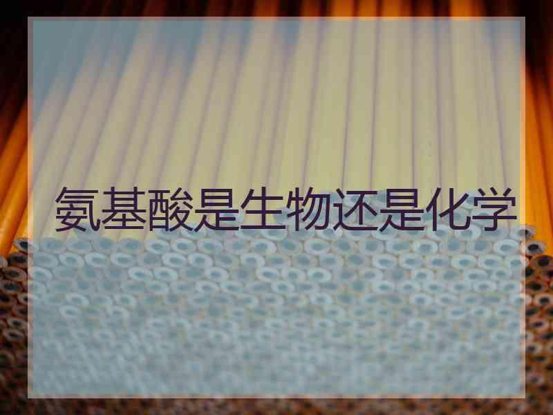 氨基酸是生物还是化学