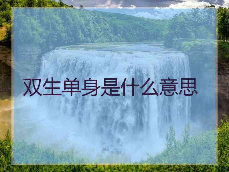 双生单身是什么意思