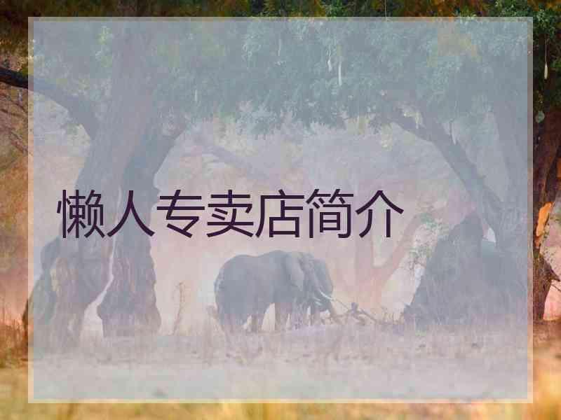 懒人专卖店简介