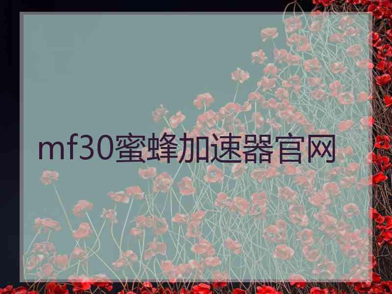 mf30蜜蜂加速器官网