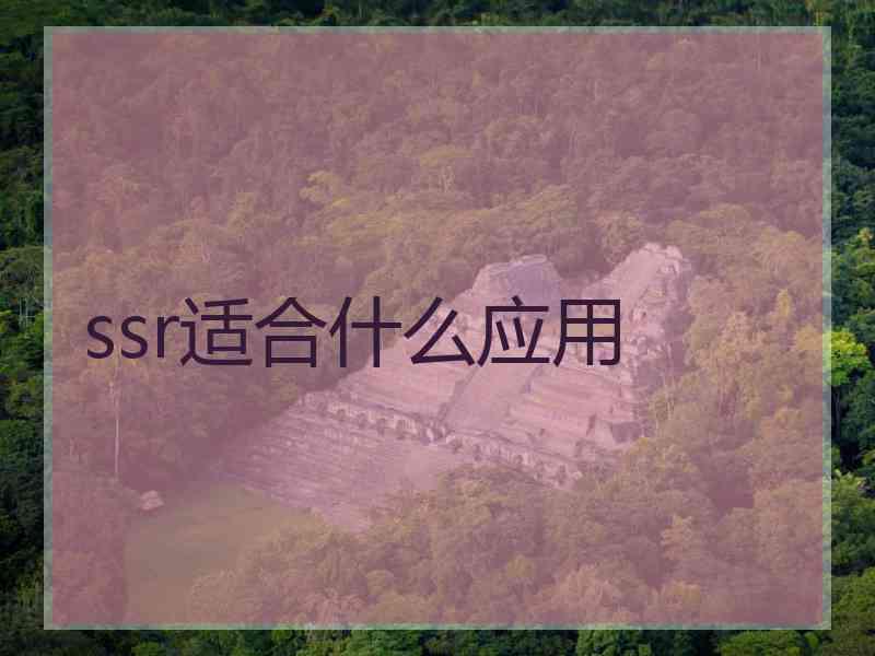ssr适合什么应用
