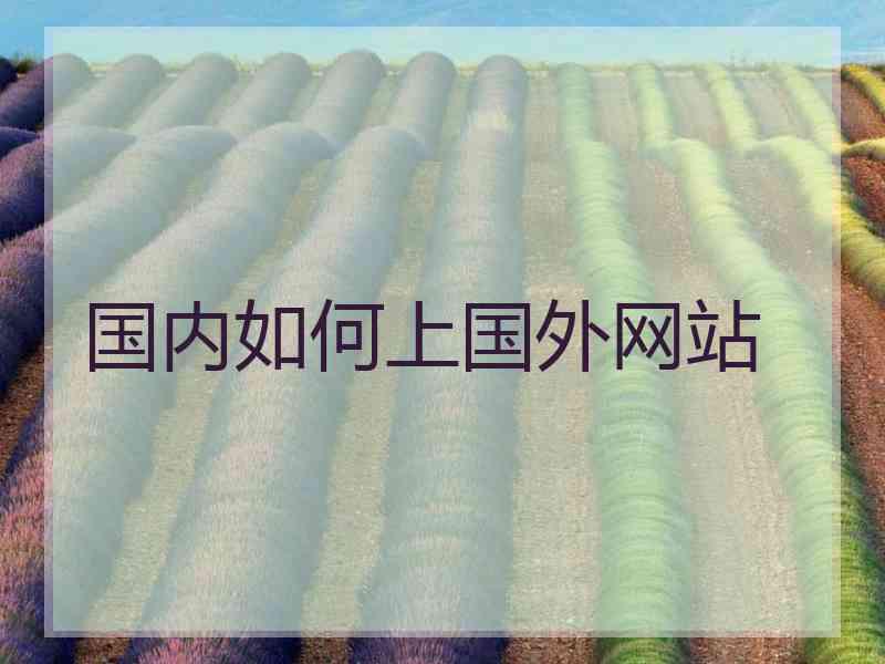 国内如何上国外网站