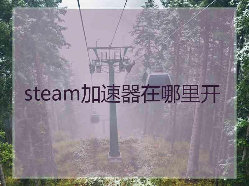 steam加速器在哪里开