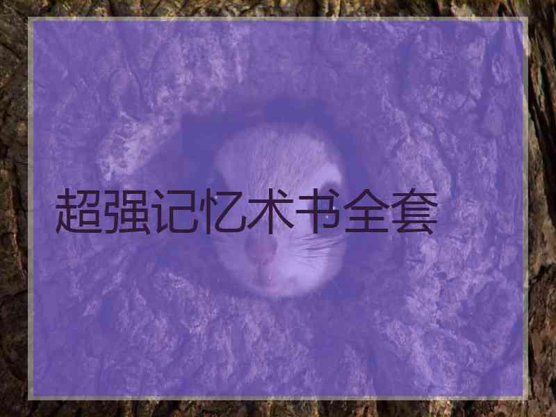 超强记忆术书全套
