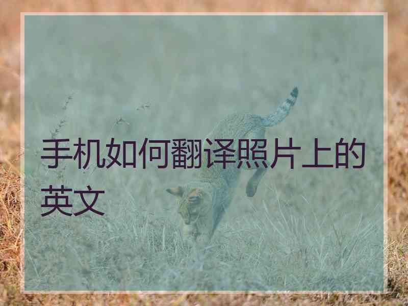 手机如何翻译照片上的英文