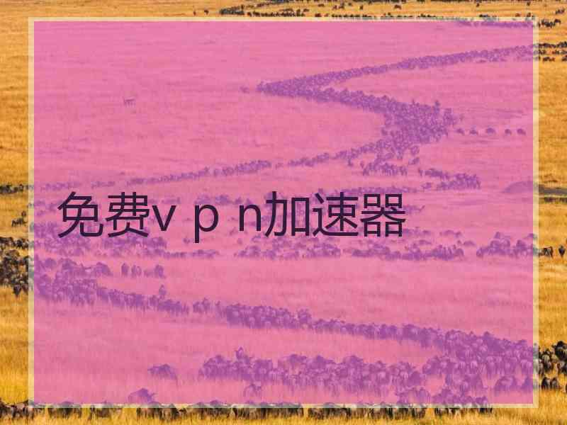 免费v p n加速器