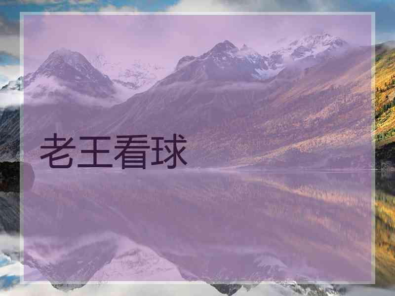 老王看球