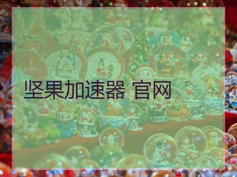坚果加速器 官网