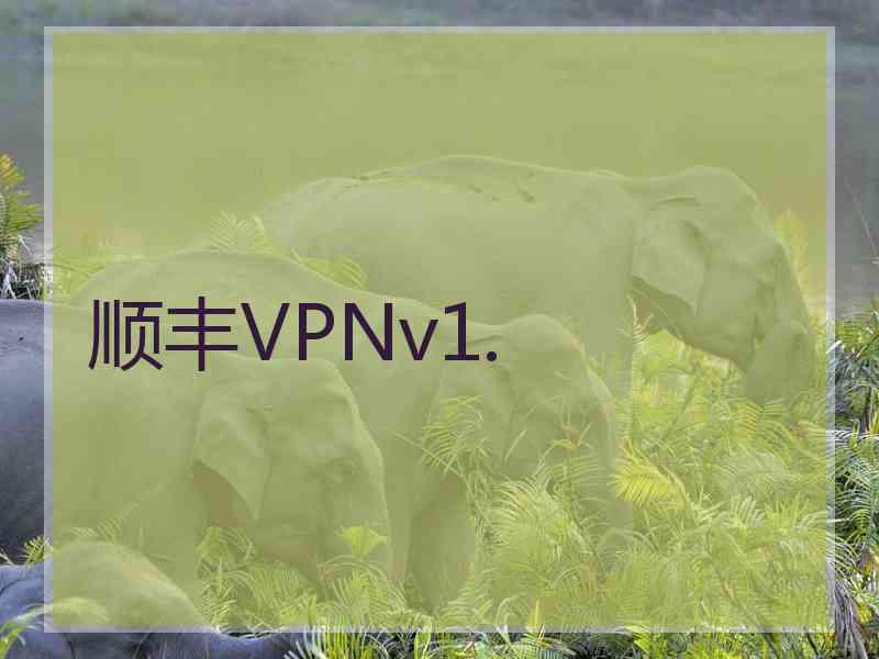 顺丰VPNv1.