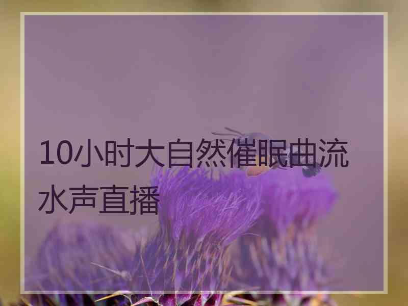 10小时大自然催眠曲流水声直播