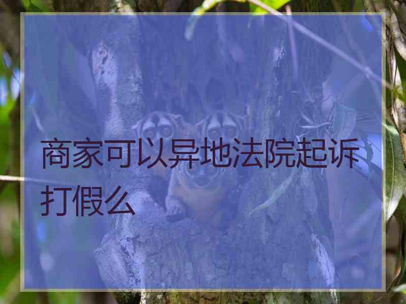 商家可以异地法院起诉打假么
