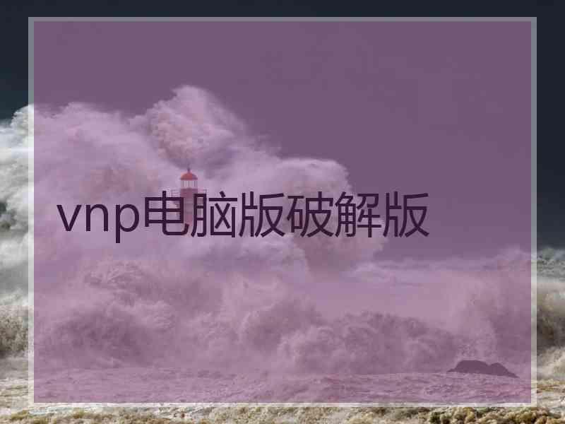 vnp电脑版破解版