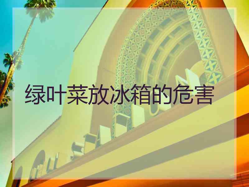 绿叶菜放冰箱的危害