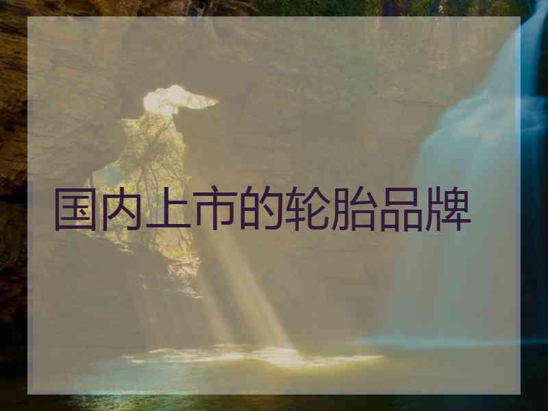 国内上市的轮胎品牌