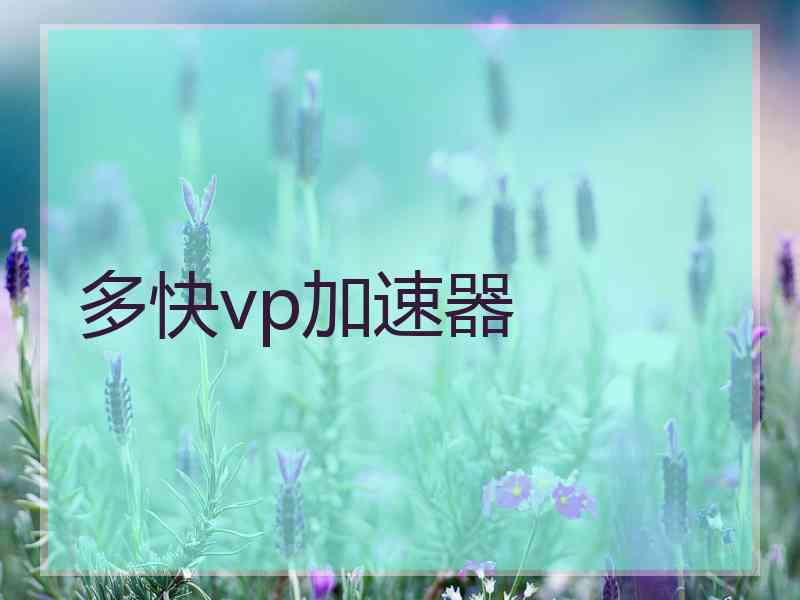 多快vp加速器