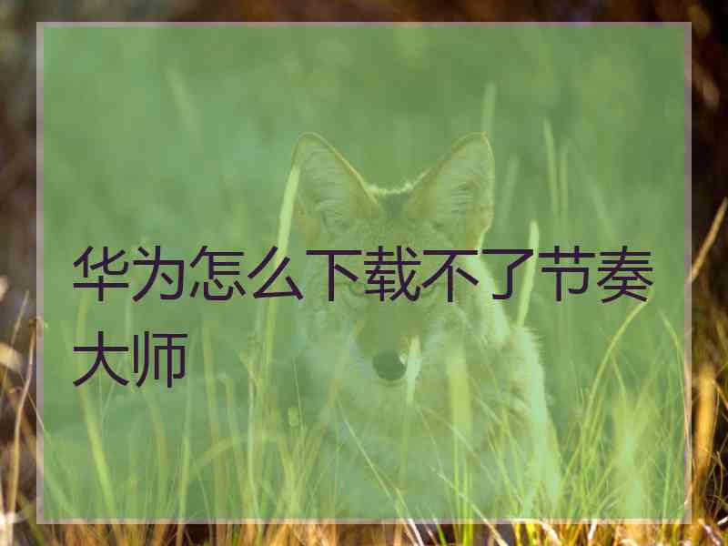 华为怎么下载不了节奏大师