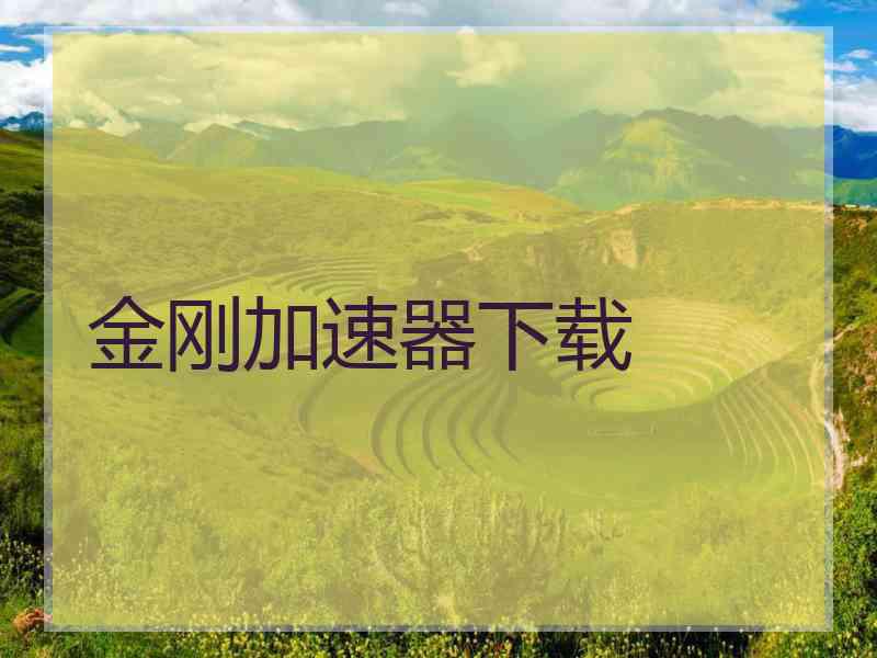 金刚加速器下载