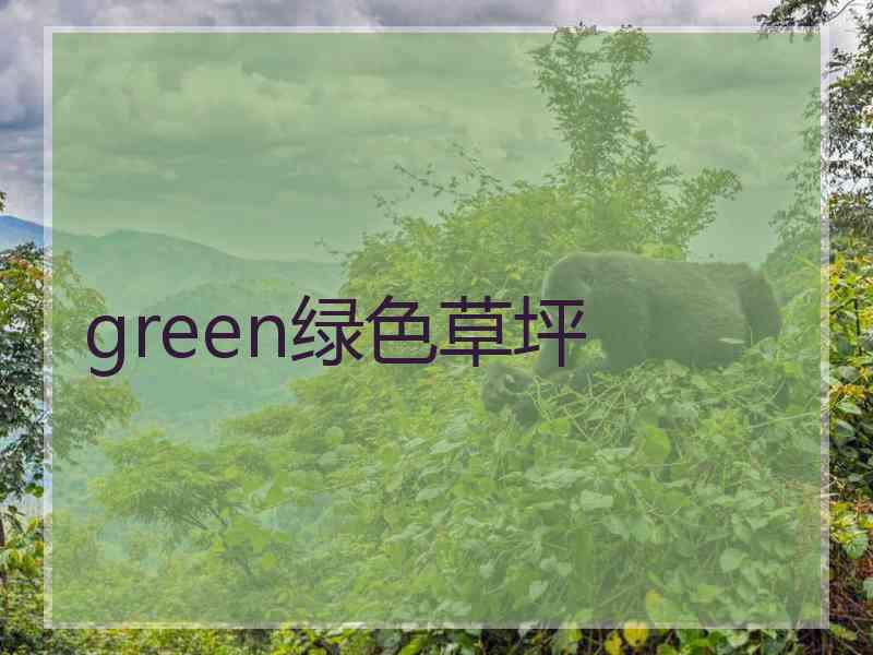 green绿色草坪