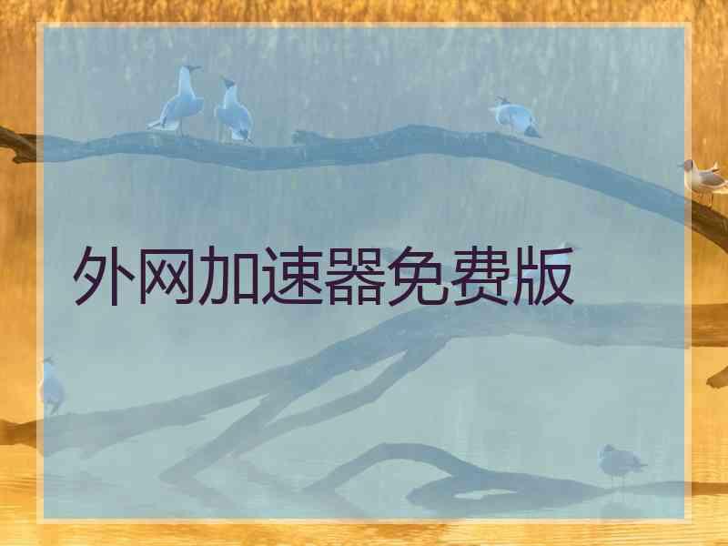 外网加速器免费版
