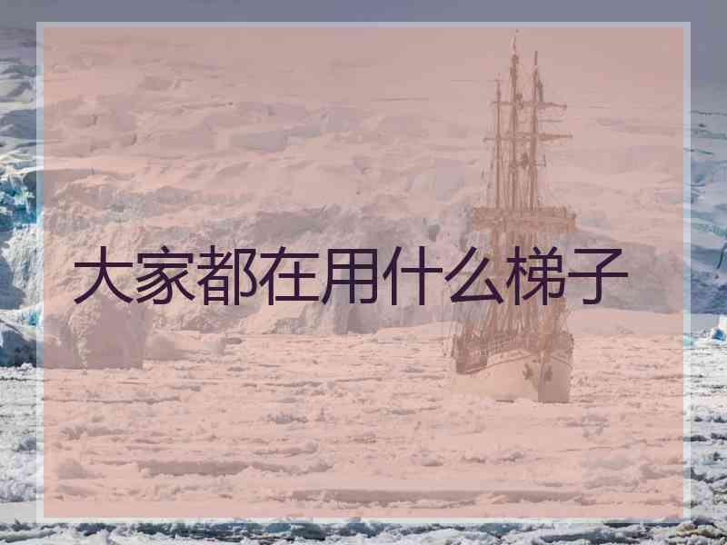 大家都在用什么梯子