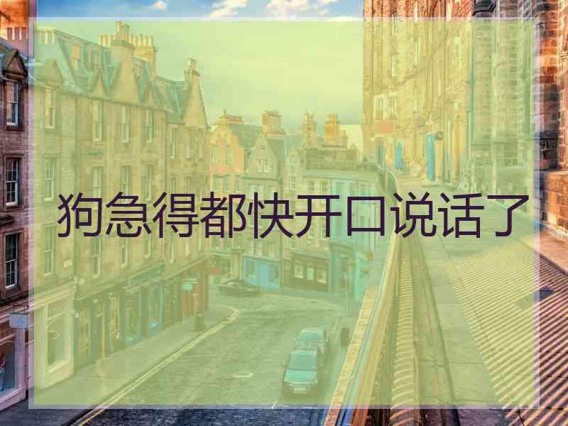 狗急得都快开口说话了