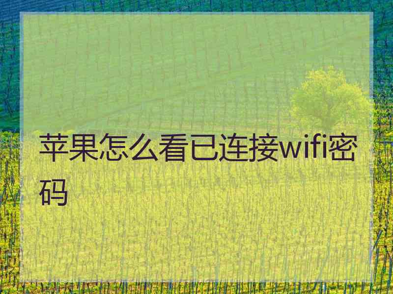 苹果怎么看已连接wifi密码