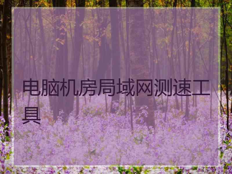 电脑机房局域网测速工具