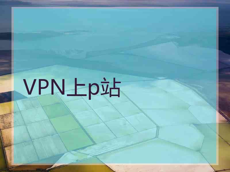 VPN上p站