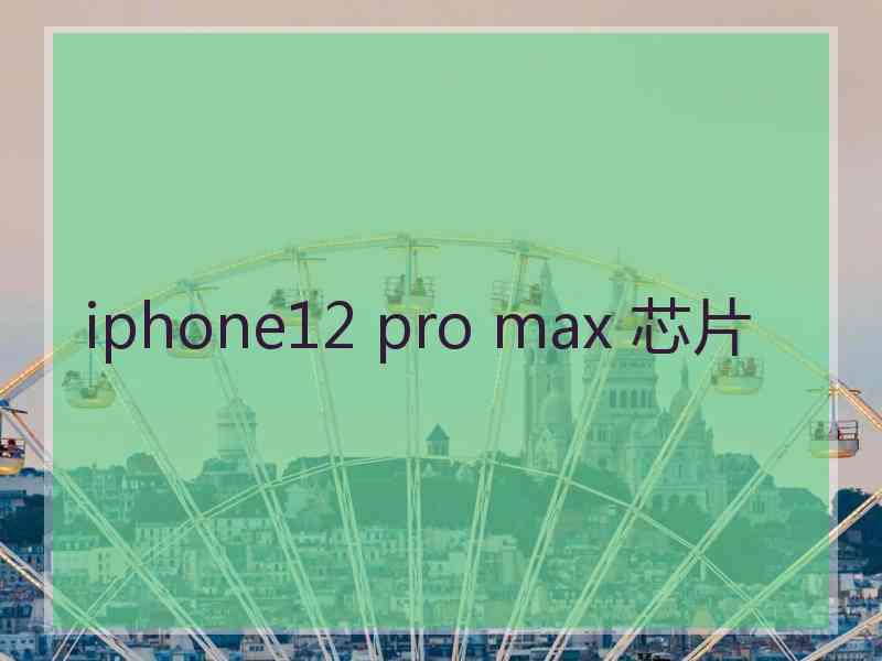 iphone12 pro max 芯片