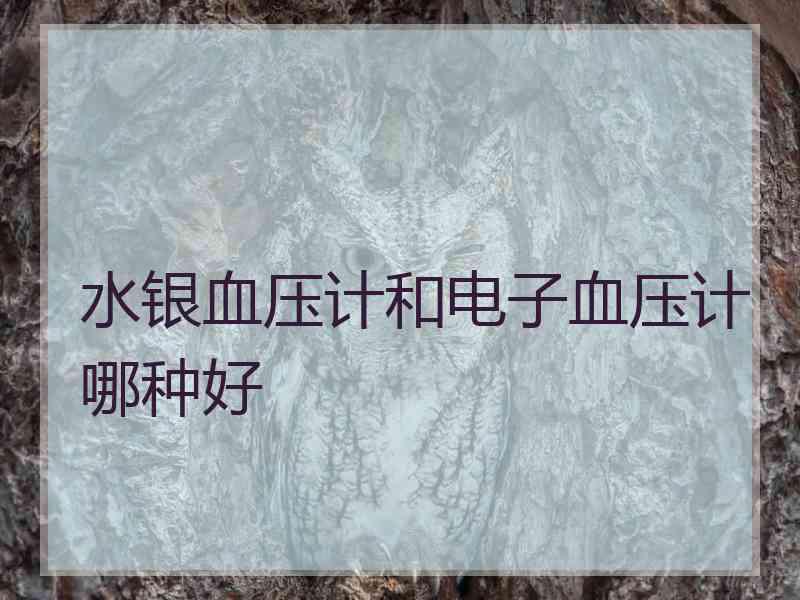 水银血压计和电子血压计哪种好