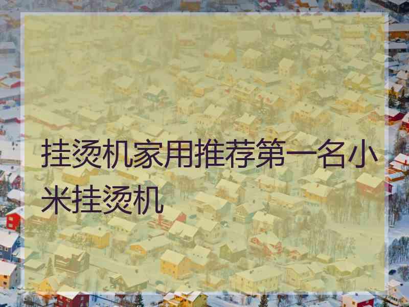 挂烫机家用推荐第一名小米挂烫机