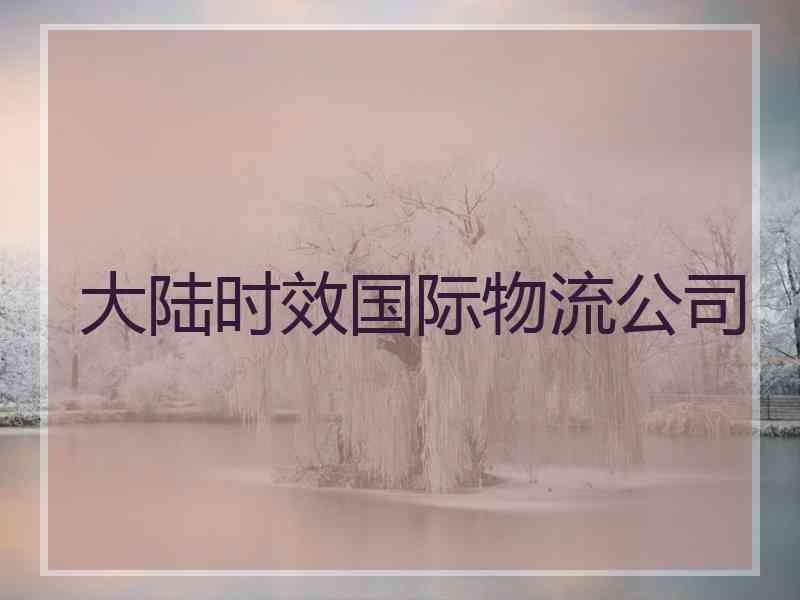 大陆时效国际物流公司
