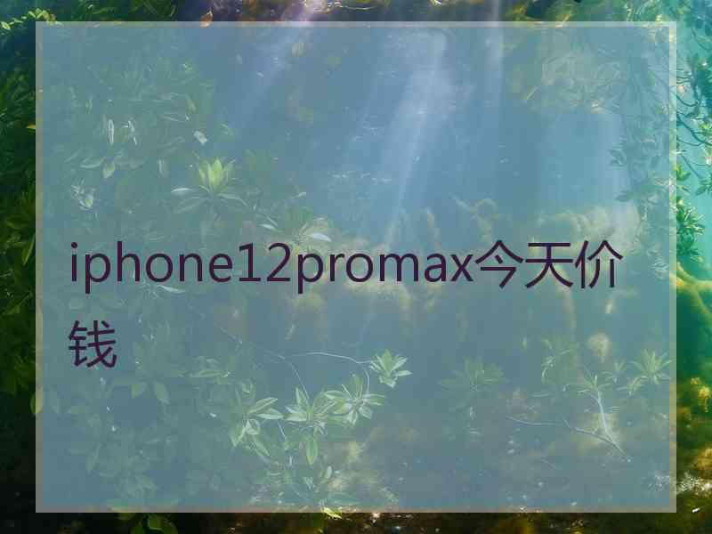 iphone12promax今天价钱