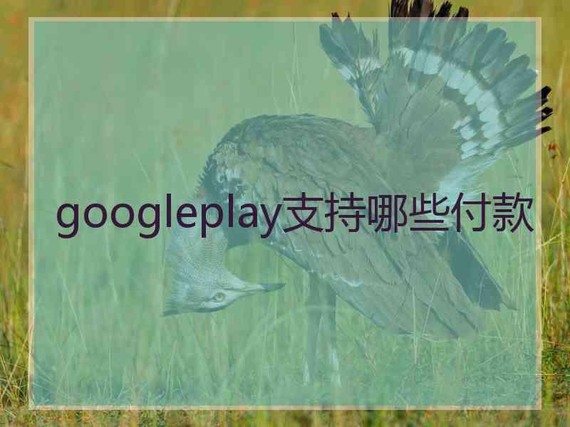 googleplay支持哪些付款
