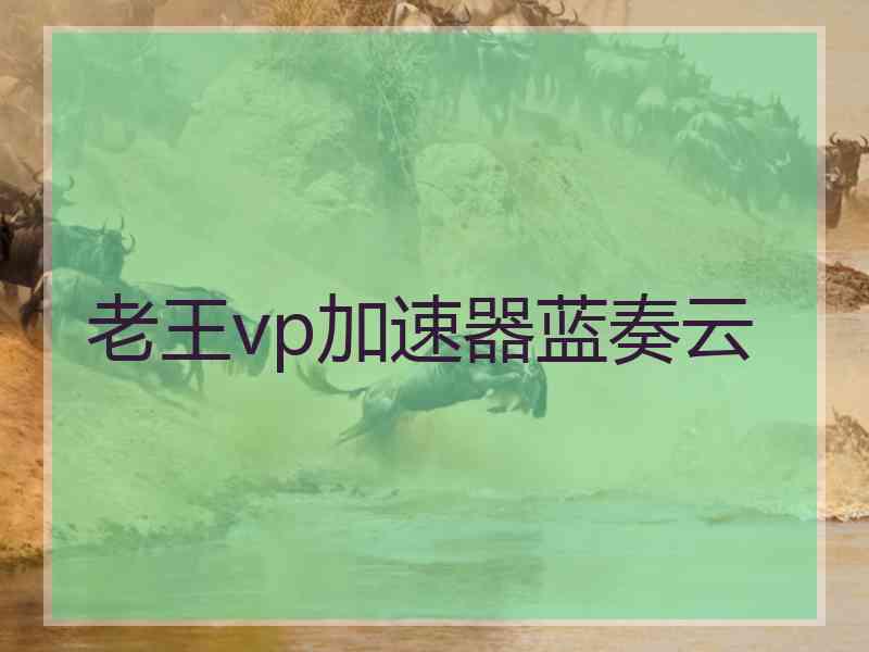 老王vp加速器蓝奏云