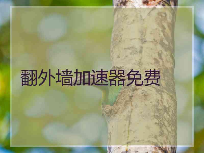 翻外墙加速器免费