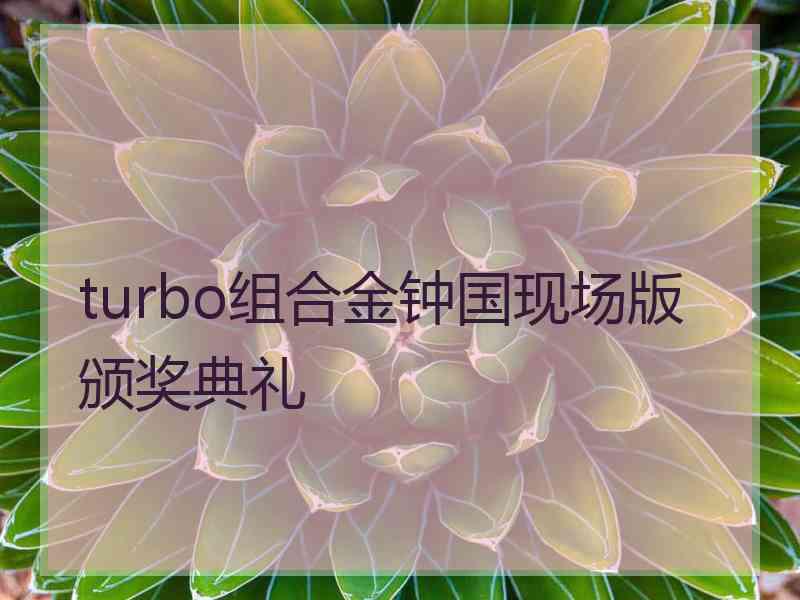 turbo组合金钟国现场版颁奖典礼