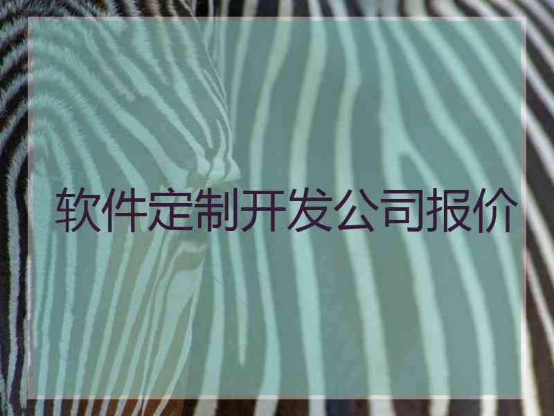 软件定制开发公司报价