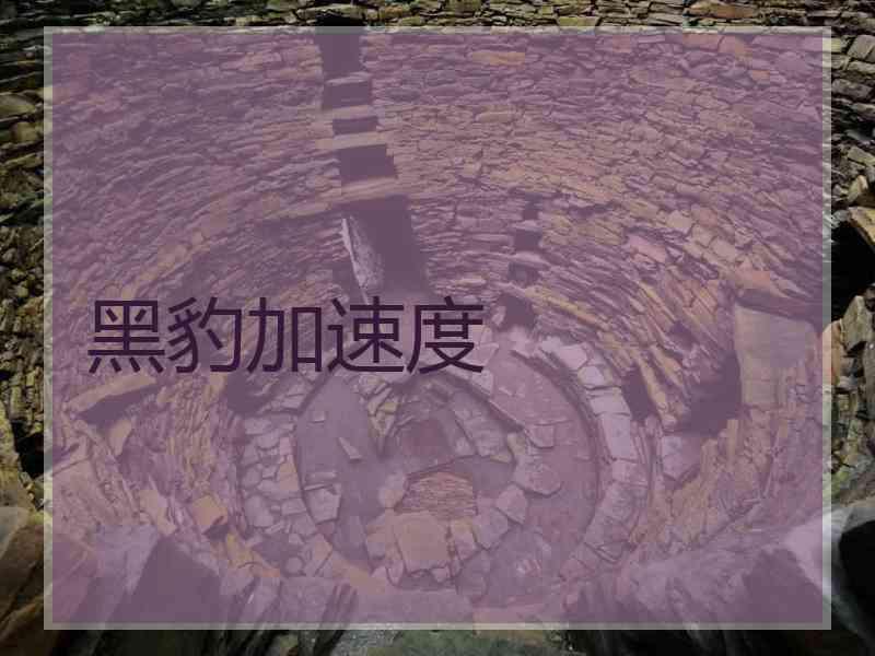 黑豹加速度