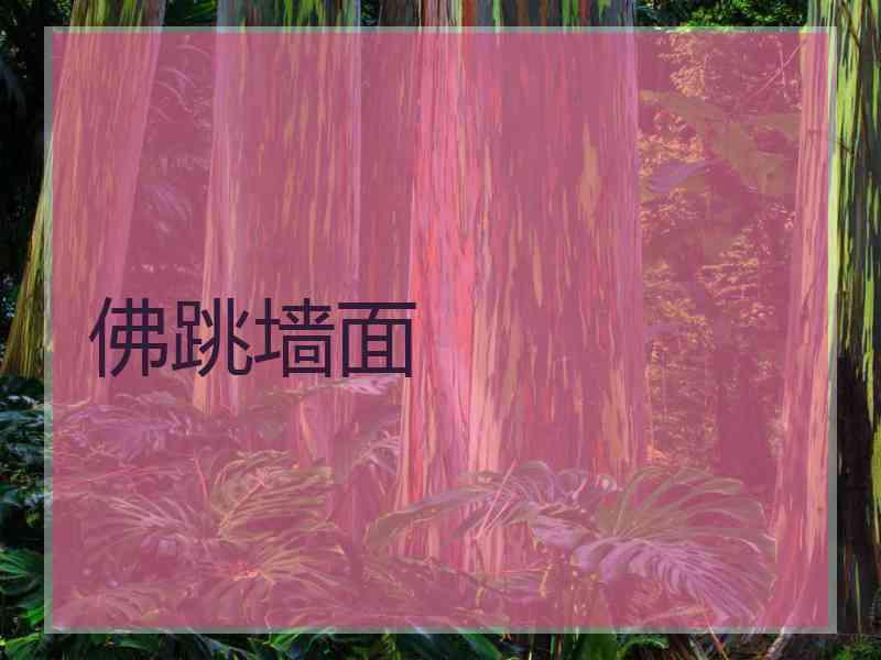 佛跳墙面