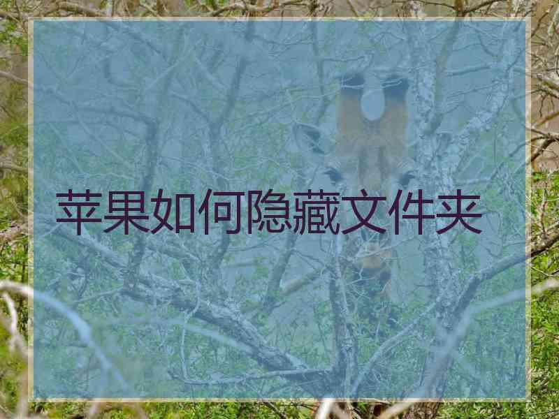 苹果如何隐藏文件夹