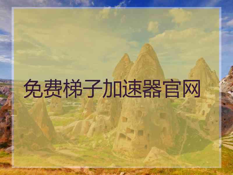 免费梯子加速器官网