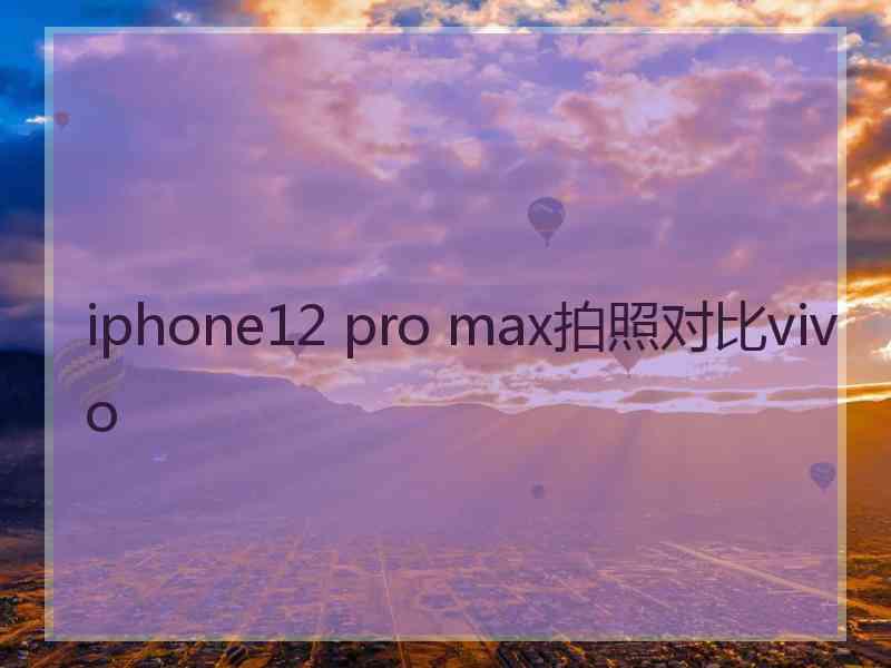 iphone12 pro max拍照对比vivo
