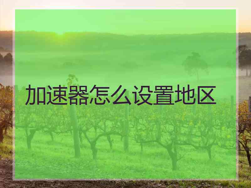 加速器怎么设置地区