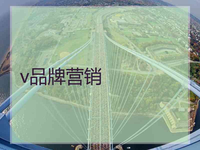 v品牌营销