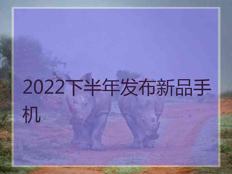 2022下半年发布新品手机