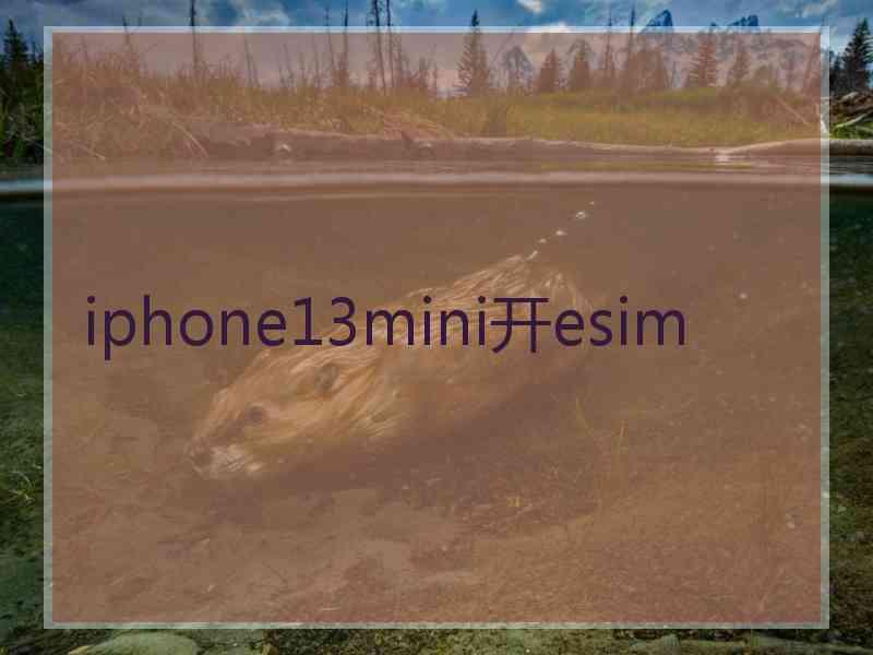 iphone13mini开esim