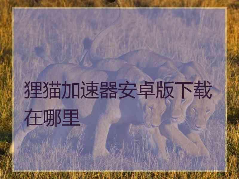 狸猫加速器安卓版下载在哪里