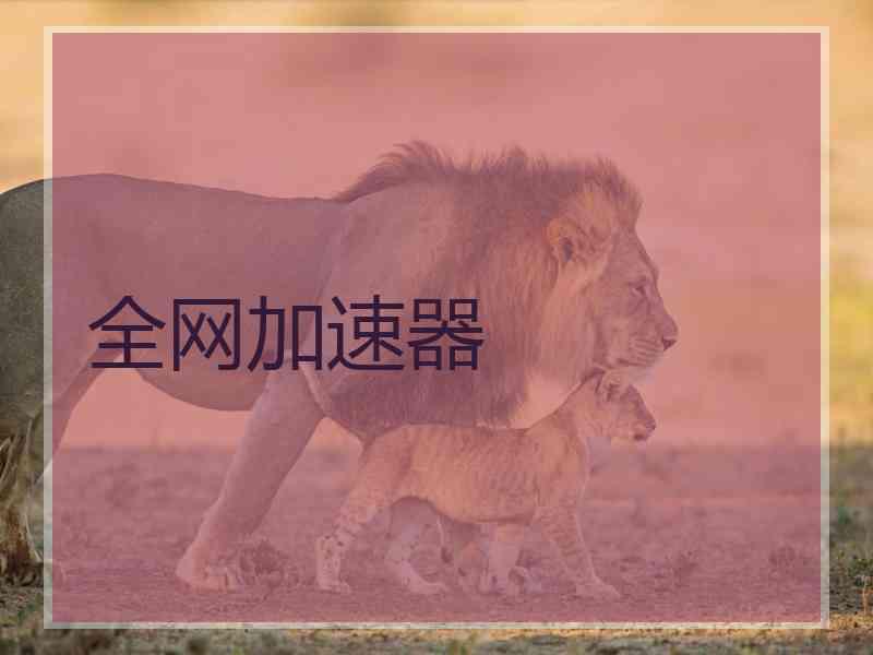 全网加速器